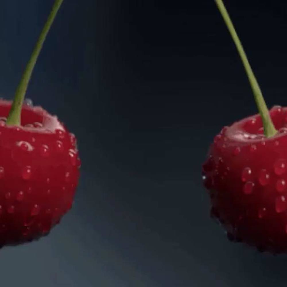 Meet your Posher, Shery